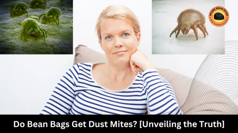 do bean bags get dust mites